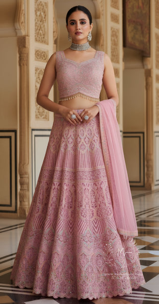 Blush Pink Embroidered Lehenga