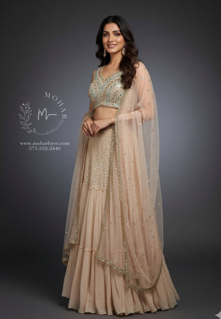 Champagne Gold Embroidered Lehenga Choli Set