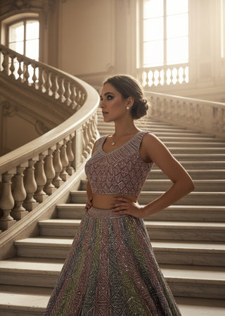 Silver Grey Embroidered Lehenga Set