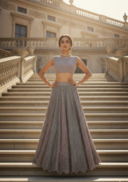 Silver Grey Embroidered Lehenga Set