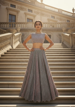 Silver Grey Embroidered Lehenga Set