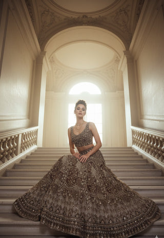 Bronze Sequin Embroidered Bridal Lehenga Set