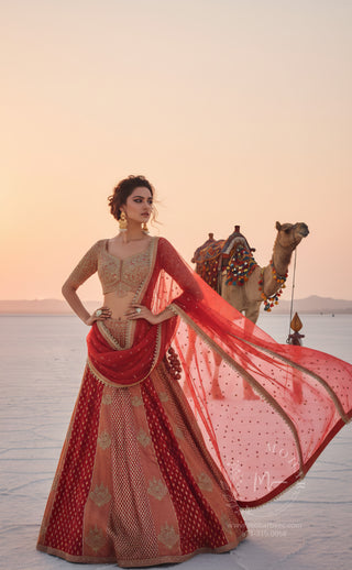 Red and Gold Embroidered Lehenga Choli
