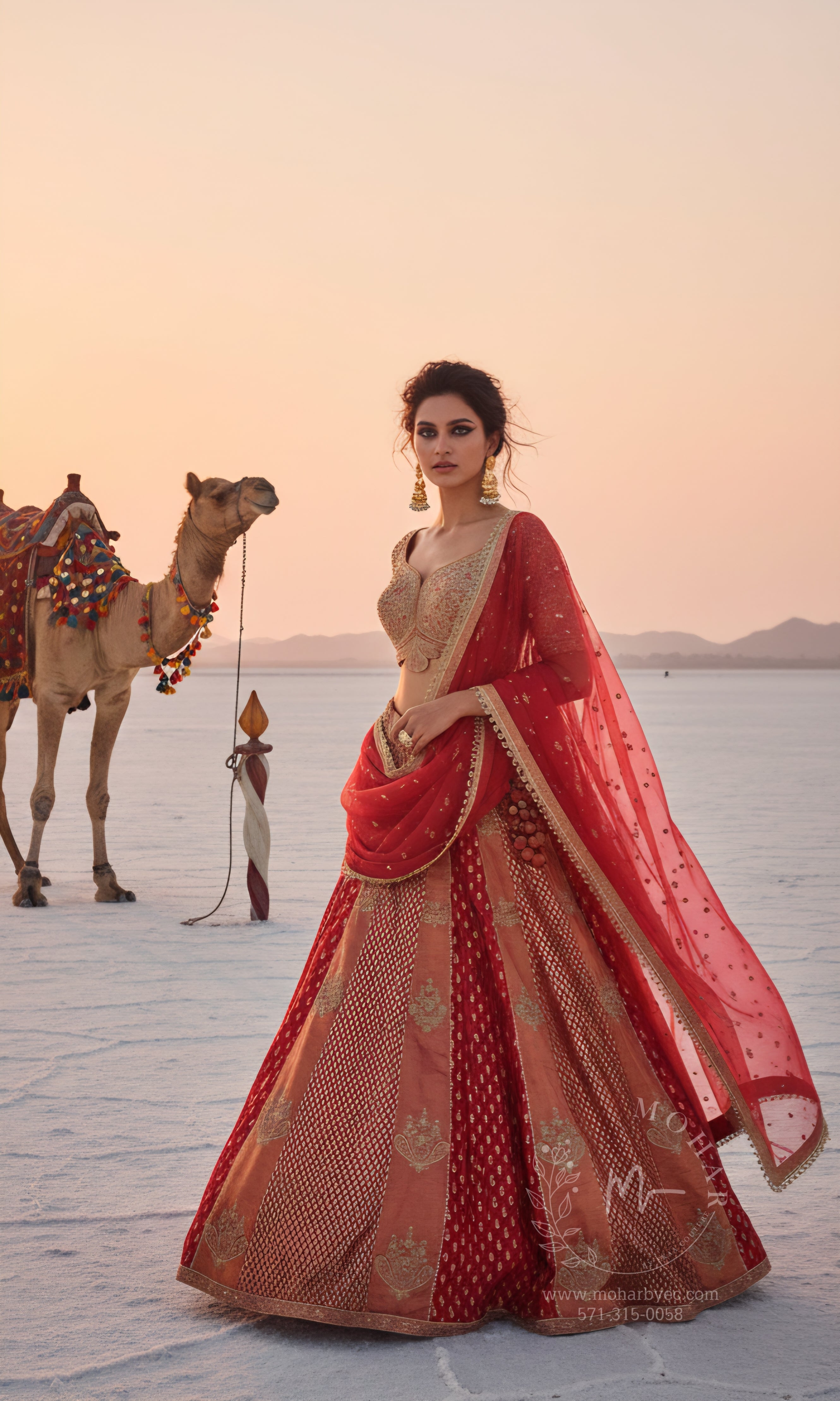 Pink and Gold Embroidered Lehenga Choli