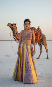 Multicolor Embroidered Silk Lehenga Choli with Pink Dupatta