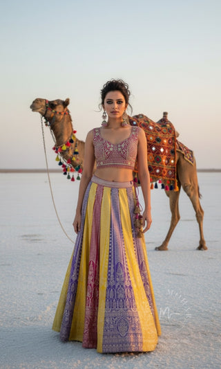Multicolor Embroidered Silk Lehenga Choli with Pink Dupatta