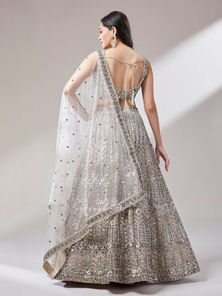 Net Mirror & Sequins Embroiderey Semi-Stitched Lehenga choli