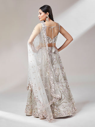 Grey Net heavy Sequinse embroidery Lehenga choli & Dupatta