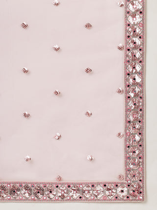 Net Mirror & Sequins Embroiderey Semi-Stitched Lehenga choli