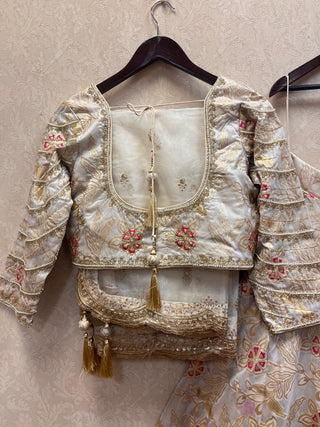 Pure silk benarasi embellished Lehenga Set