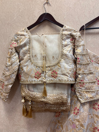 Pure silk benarasi embellished Lehenga Set