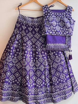 Violet Net Sequin and Thread Embroidered Lehenga Choli