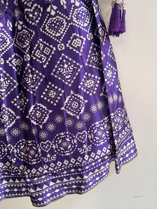 Violet Net Sequin and Thread Embroidered Lehenga Choli