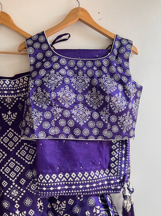Violet Net Sequin and Thread Embroidered Lehenga Choli