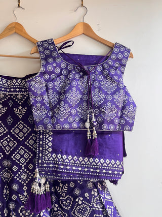 Violet Net Sequin and Thread Embroidered Lehenga Choli