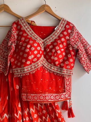 Orange Net Mirror and Sequin Embellished Lehenga Choli