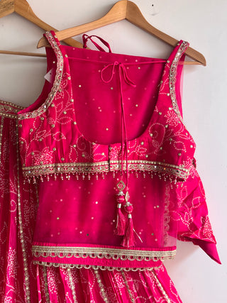 Pink Net Sequin Embroidered Lehenga Choli