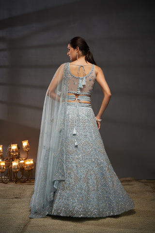 Reception Diamond Net Lehenga