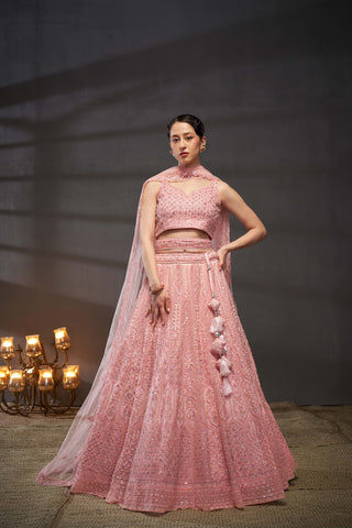 Cutdana, Sequins, Zarkan Net Lehenga