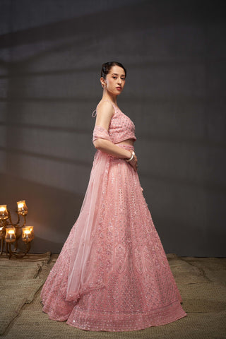 Cutdana, Sequins, Zarkan Net Lehenga