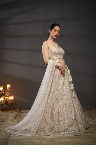 Classic Reception Lehenga