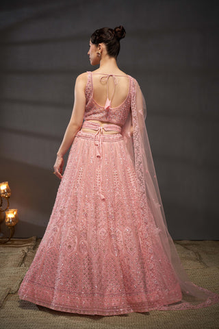 Cutdana, Sequins, Zarkan Net Lehenga