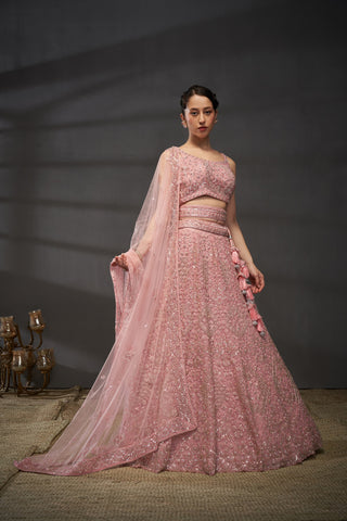Reception Diamond Net Lehenga
