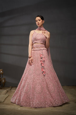 Reception Diamond Net Lehenga