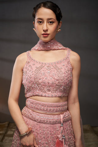 Reception Diamond Net Lehenga