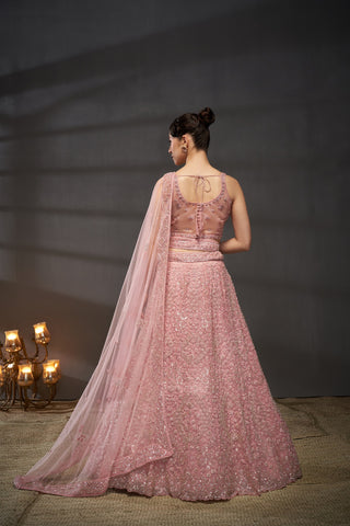 Reception Diamond Net Lehenga