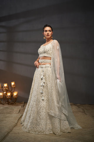 Reception Diamond Net Lehenga