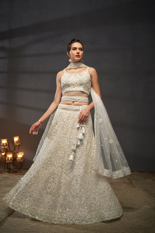Reception Diamond Net Lehenga
