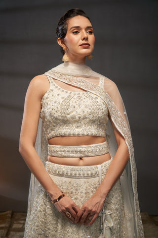 Reception Diamond Net Lehenga