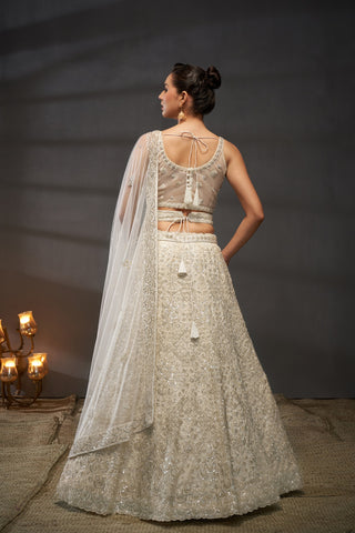 Reception Diamond Net Lehenga