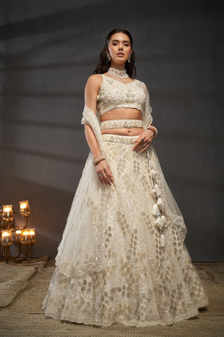 Net Cutdana, Sequins Lehenga