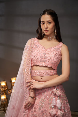 Net Cutdana, Sequins Lehenga