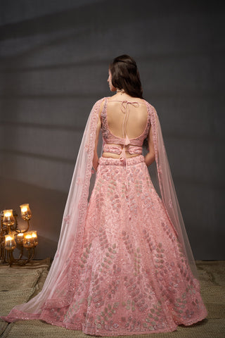 Net Cutdana, Sequins Lehenga