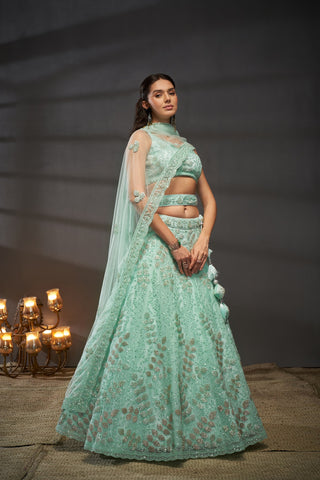 Net Cutdana, Sequins Lehenga
