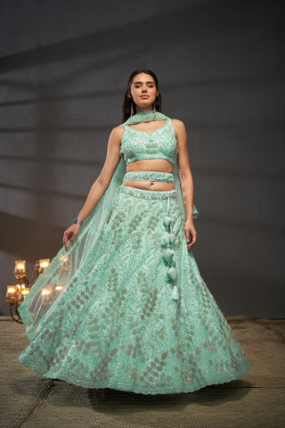 Net Cutdana, Sequins Lehenga