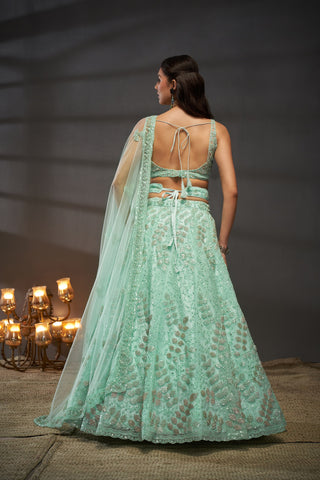 Net Cutdana, Sequins Lehenga