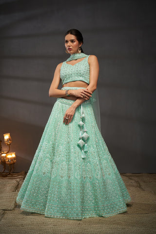 Cutdana, Sequins, Zarkan Net Lehenga