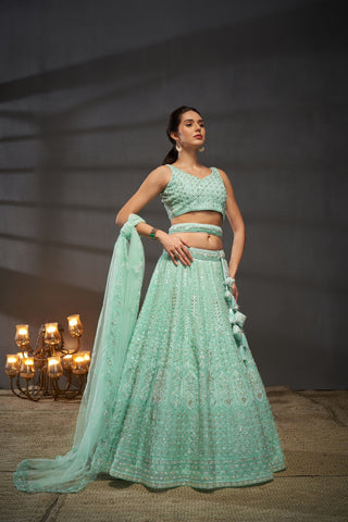 Cutdana, Sequins, Zarkan Net Lehenga