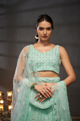 Cutdana, Sequins, Zarkan Net Lehenga