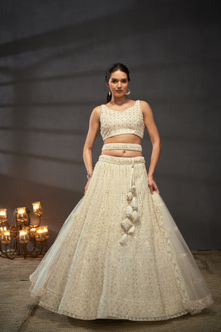 Cutdana, Sequins, Zarkan Net Lehenga