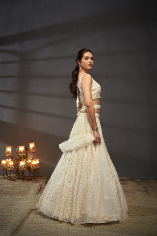 Cutdana, Sequins, Zarkan Net Lehenga