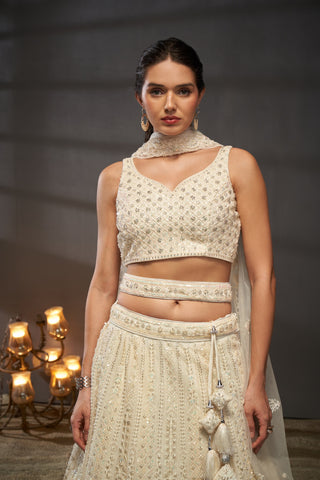 Cutdana, Sequins, Zarkan Net Lehenga
