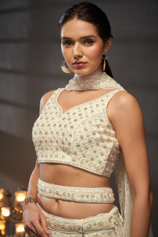 Cutdana, Sequins, Zarkan Net Lehenga