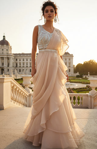 Champagne Embroidered Net Pre-Stitched Saree with Cut-Out Blouse