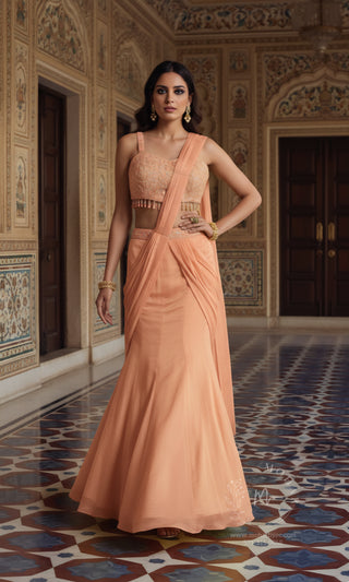 Peach Embroidered Pre-Draped Saree Gown