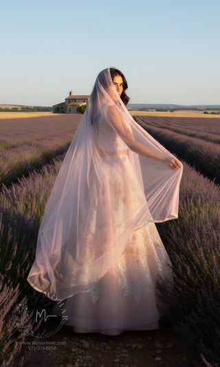 Blush Pink Embroidered Lehenga